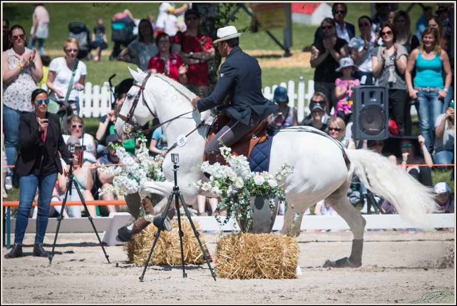 Pferd International 125
